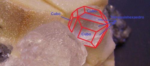 Fluorita
Naica, Mun. de Saucillo, Chihuahua, Méjico
En rojo, sobre el cristal de fluorita, las caras del cubo {100} y del tetraquishexaedro {210} (Autor: Antonio Alcaide)
