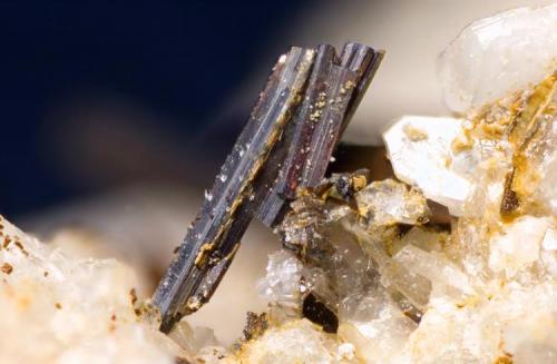 Rutilo
Macael, Almería, Andalucía, España
Cristales de 2,5 mm (Autor: MMorales)