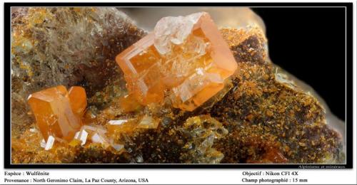 Wulfenite
North Geronimo claim, La Paz County, Arizona, USA
fov: 15 mm (Author: ploum)