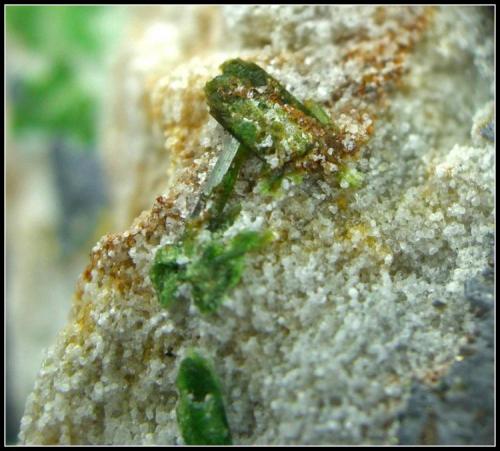 Dravita
Minas de los Llanos de la Plata - Alhaurín el Grande - Málaga - Andalucía - España
pieza de 3 x 3 cm -  cristal de 3 mm (Autor: Mijeño)