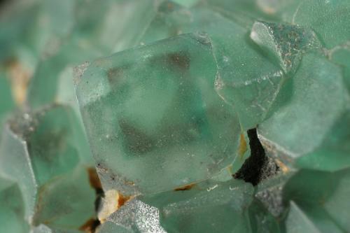 fluorite
Erongo Mountains, Namibia
crystal 5 mm
detail of 1 crystal with the phantom (Author: Herman van Dennebroek)
