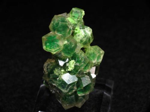 Garnet
Jeffrey Mine, Quebec, Canada
3cm X 1.9cm X 1.7cm
good color and nice phantom effect (Author: pro_duo)