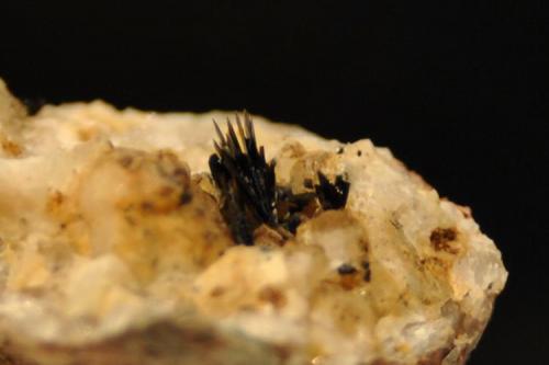 Goethita acicular
Tordelrábano, Guadalajara, Castilla la Mancha, España.
Medidas pieza: 2,3x2,2x1,3 cm Medidas cristales: 0,3 cm (Autor: Sergio Pequeño)
