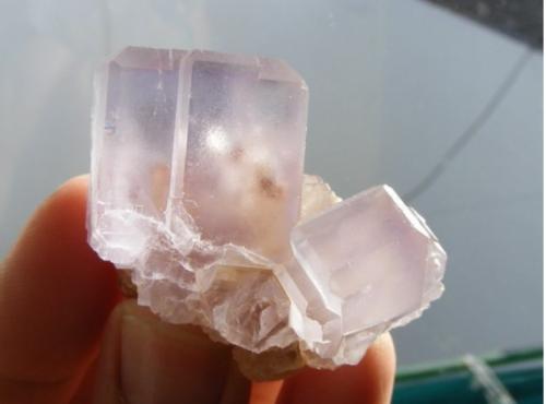 Fluorite
Llamas Quarry. Duyos. Caravia. Asturias. Spain
4 cm (Author: nimfiara)