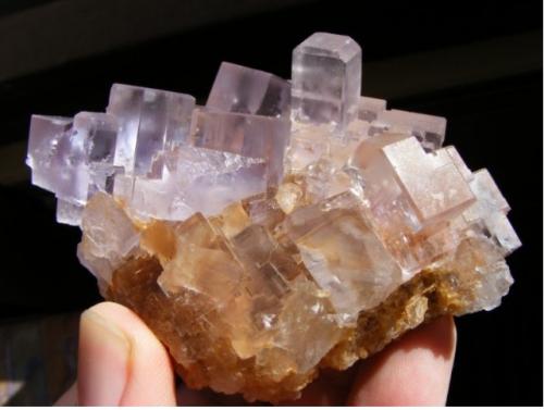 Fluorite
Llamas Quarry. Duyos. Caravia. Asturias. Spain
8,5 cm (Author: nimfiara)