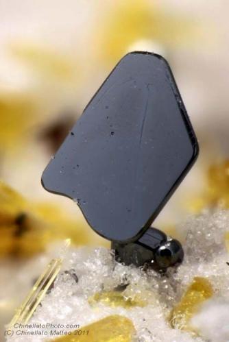 Hematite
Mt Calvario, Biancavilla, Etna Volcanic Complex, Catania Province, Sicily, Italy
0.55 mm deformed Hematite crystal (Author: Matteo_Chinellato)