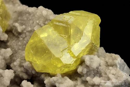 Sulphur
Cianciana, Agrigento Province, Sicily, Italy
17.49 mm Sulphur crystal (Author: Matteo_Chinellato)
