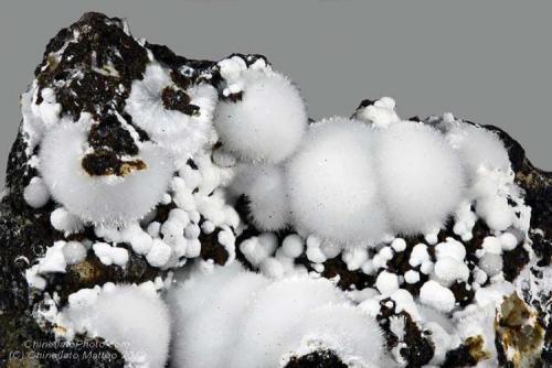 Natrolite, Tacharanite, Phillipsite
Palagonia, Northern Iblean plateau, Catania Province, Sicily, Italy
41.48 mm group with Natrolite balls and little white Tacharanite balls with Phillipsite (Author: Matteo_Chinellato)