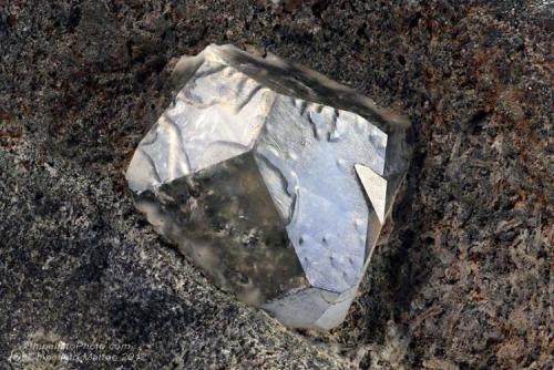 Analcime
Acitrezza (Aci Trezza), Etna Volcanic Complex, Catania Province, Sicily, Italy
14 mm Analcime crystal (Author: Matteo_Chinellato)