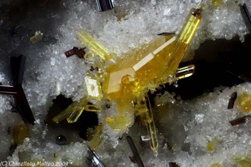 Fluoro-edenite
Mt Calvario, Biancavilla, Etna Volcanic Complex, Catania Province, Sicily, Italy
1.4 mm group of yellow Fluoro-edenite crystals (Author: Matteo_Chinellato)