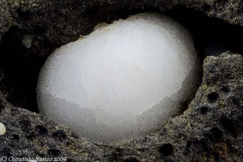 Phillipsite
Rupe di Aci Castello, Aci Castello, Etna Volcanic Complex, Catania Province, Sicily, Italy
11.22 mm Phillipsite ball (Author: Matteo_Chinellato)