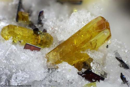 Fluoro-edenite
Mt Calvario, Biancavilla, Etna Volcanic Complex, Catania Province, Sicily, Italy
1.06 mm yellow Fluoro-edenite crystal with Pseudobrookite (Author: Matteo_Chinellato)