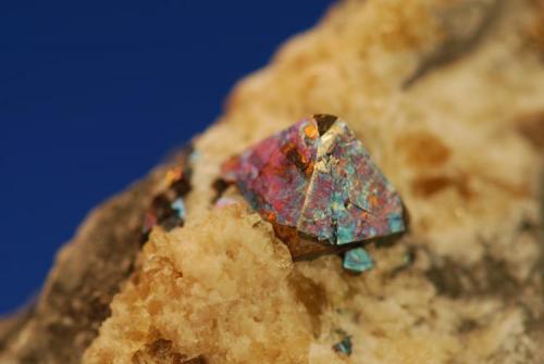 Pyrite in fluorite
Duff quarry, Huntsville, Ohio, USA
Crystal 6 mm (Author: John Medici)