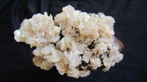 Cerussite
Komshejeh Mine (Komshecheh Mine), Komshejeh (Komshecheh), Ardestan County, Esfahan Province (Isfahan Province; Aspadana Province), Iran
12 cm (Author: h.abbasi)