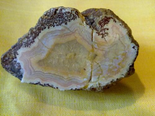 Agate ( quartz)
Khur , Iran
9 cm (Author: h.abbasi)