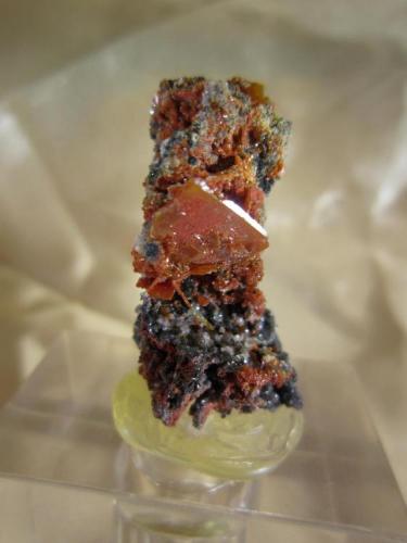 Wulfenite
Chah Khouni Mine (Chah Khoni Mine; Tschah Khuni Mine; El Khun Mine), Anarak District, Nain County (Nayin County), Esfahan Province (Isfahan Province; Aspadana Province), Iran
Size of crystal: 11 mm (Author: h.abbasi)