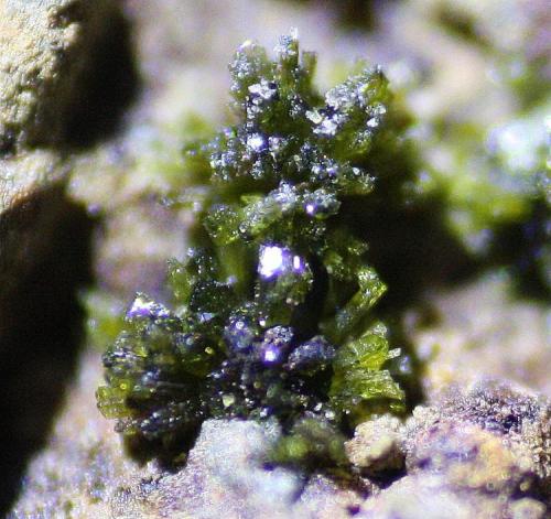 Epidota<br />Barranco de Las Angustias, El Paso, La Palma, Provincia de Santa Cruz de Tenerife, Canarias, España<br />1 mm<br /> (Autor: canada)