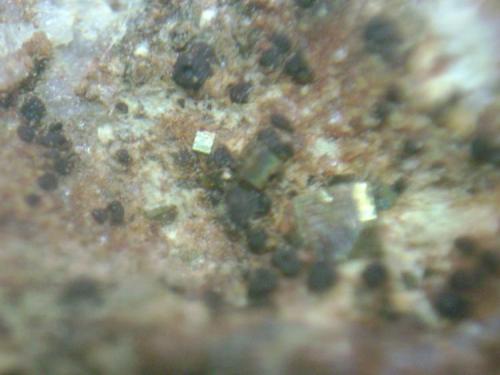 Pirita<br />La Sevillana Mine, Plasenzuela, Mancomunidad Sierra de Montánchez, Cáceres, Extremadura, Spain<br />cristal de 3 mm.<br /> (Autor: P. apita)