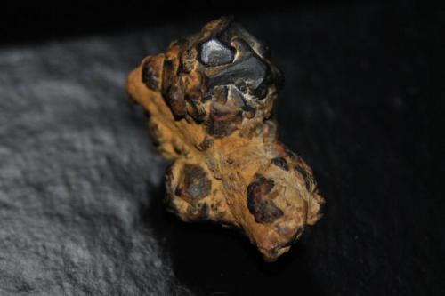 Goethita pseudomórfica de Pirita
Girona, Catalunya, España.
Medidas pieza: 2,9x2x1,4 cm
Crecimiento de cristales sobre rastro fósil (Autor: Sergio Pequeño)