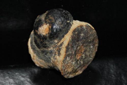Goethita pseudomórfica de Pirita
Girona, Catalunya, España.
Medidas pieza: 1,7x1,3x1,3 cm
Crecimiento de cristales sobre rastro fósil (Autor: Sergio Pequeño)