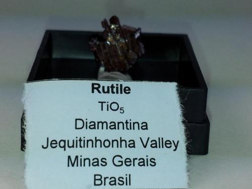 Rutilo.
Jequitinhonha Valley, Minas Gerais, Brasil.
Cristal 1 cm de alto x 0"9 mm de ancho. (Autor: Carlos Viñolo)
