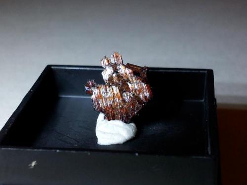 Rutilo.
Diamantina, Jequitinhonha Valley, Minas Gerais, Brasil.
Cristal 1 cm de alto x 0’9 mm de ancho (Autor: Carlos Viñolo)