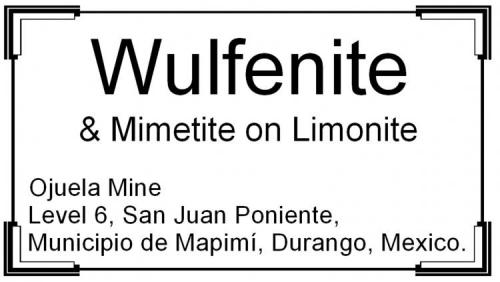 LF_WULFENITE_OMX_LABEL.jpg (Author: Louis Friend)