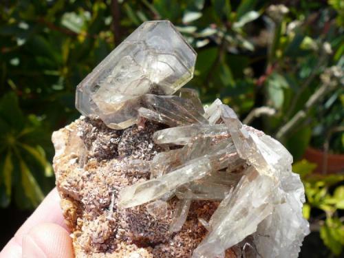 Barita
Cerro Warihuyn, Miraflores, Huaunuco, Perú.
Arista mayor: 3,2 cm
 (Autor: nerofis2)