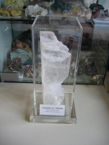 Gypsum var. Selenite
Debar city, Mine Radika Knauf, Macedonia
length 7 cm x hight 23 cm x width 3,5 cm (Author: Leon56)