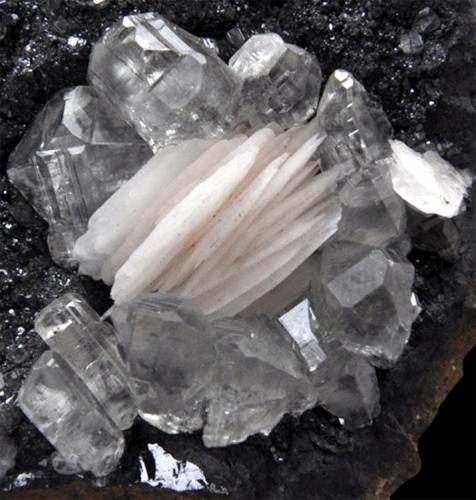 Cerussite with Baryte on hematite/limonite
ACF mine area, Mibladen, Midelt, Khenifra Province, Meknes-Tafilalet Region, Morocco.
8 x 5 x 4 cm; 292 gram (Author: Louis Friend)