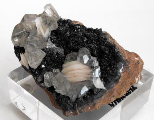 Cerussite with Baryte on hematite/limonite
ACF mine area, Mibladen, Midelt, Khenifra Province, Meknes-Tafilalet Region, Morocco.
8 x 5 x 4 cm; 292 gram (Author: Louis Friend)