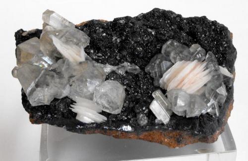Cerussite with Baryte on hematite/limonite
ACF mine area, Mibladen, Midelt, Khenifra Province, Meknes-Tafilalet Region, Morocco.
8 x 5 x 4 cm; 292 gram (Author: Louis Friend)