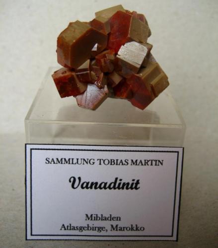 Vanadinite
Mibladen, Morocco
35 x 30 x 20 mm, largest crystal 13 mm (Author: Tobi)