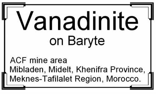 LF_VANADINITE_BARYTE_MC_LABEL.jpg (Author: Louis Friend)