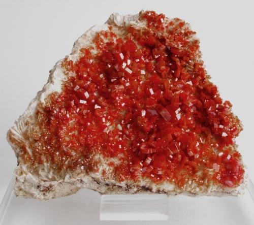 Vanadinite on Baryte
ACF mine area, Mibladen, Midelt, Khenifra Province, Meknes-Tafilalet Region, Morocco.
12 x 11 x 4 cm; 730 gram (Author: Louis Friend)