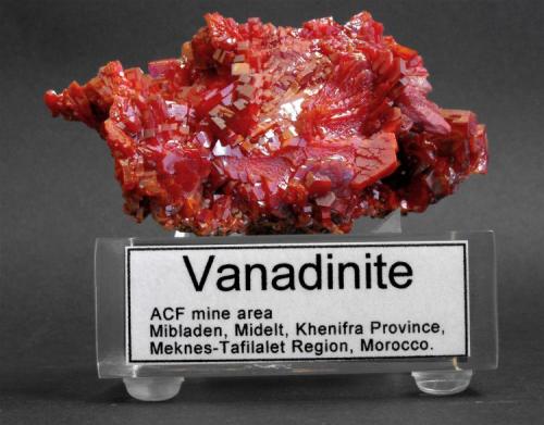 Vanadinite
ACF mine area, Mibladen, Midelt, Khenifra Province, Meknes-Tafilalet Region, Morocco.
10 x 5 x 4 cm; 182 gram
BIG VANADINITE WITH NEW LABEL MARK 1, CLEAR VERSION MARK 2 SOON! (Author: Louis Friend)