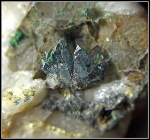 Escorodita
Valle de la Serena - Badajoz - Extremadura - España
Encuadre de 1.5 cm (Autor: Mijeño)