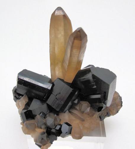 Schorl, quartz
Erongo Mountain, Erongo Region, Namibia
76 mm x 65 mm (Author: Carles Millan)