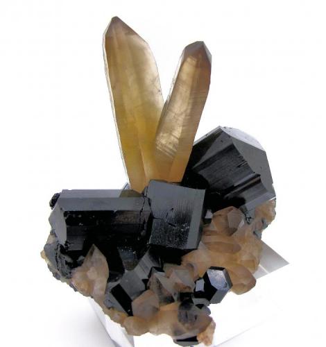 Schorl, quartz
Erongo Mountain, Erongo Region, Namibia
76 mm x 65 mm (Author: Carles Millan)