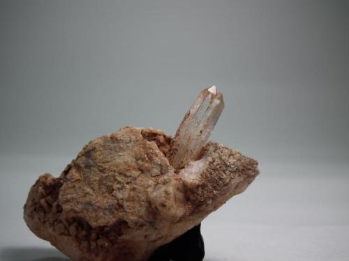 Cuarzo hialino.
Arroyo Zaragoza,Mijas,Malaga.
Pieza de 5 x 3 cm,Cristal de 2 cm. (Autor: Carlos Viñolo)