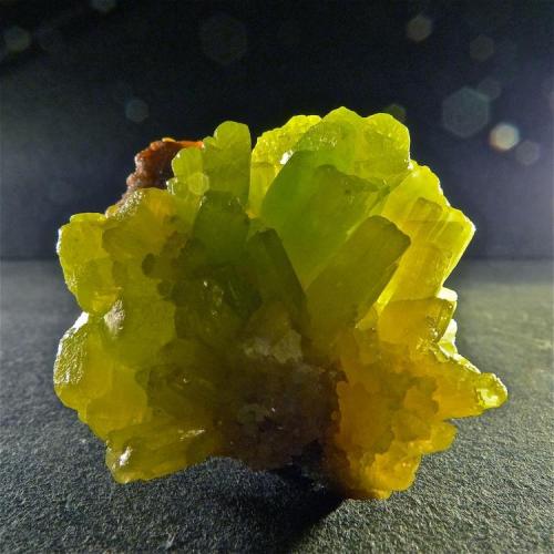 Piromorfita
Gologa Mine, Anar Dara, Farah, Afghanistan
4,2 x 3,5 x 2,4 cm
Cristales muy translúcidos de hasta 1,2 cm. (Autor: Josele)