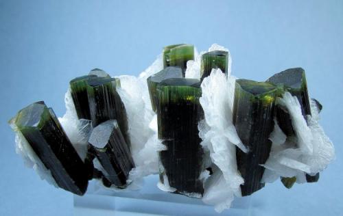 Elbaite, albite
Stak Nala, Haramosh Mountains, Skardu, Gilgit-Baltistan, Pakistan
102 mm x 71 mm (Author: Carles Millan)