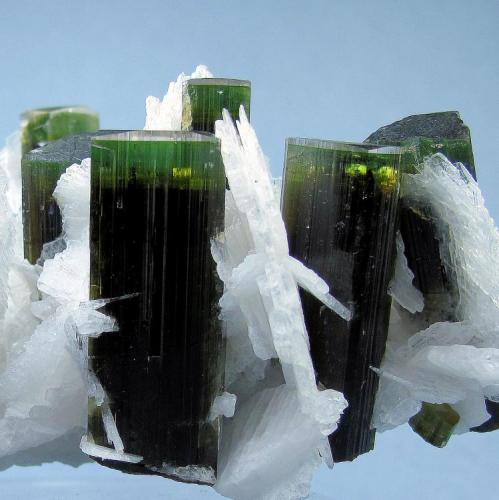 Elbaite, albite
Stak Nala, Haramosh Mountains, Skardu, Gilgit-Baltistan, Pakistan
102 mm x 71 mm

Close up view (Author: Carles Millan)