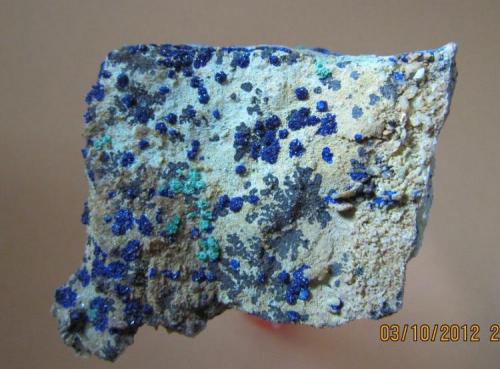 Azurite , Malachite
Komshejeh Mine (Komshecheh Mine), Komshejeh (Komshecheh), Ardestan County, Esfahan Province (Isfahan Province; Aspadana Province), Iran
4 * 5 with Manganese Oxides (Var: Manganese Dendrites) and Quartz (Author: h.abbasi)