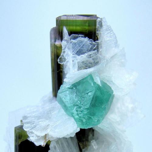 Fluorite, elbaite, albite
Stak Nala, Haramosh Mts., Skardu District, Baltistan, Gilgit-Baltistan, Pakistan
60 mm x 41 mm

Close-up view (Author: Carles Millan)