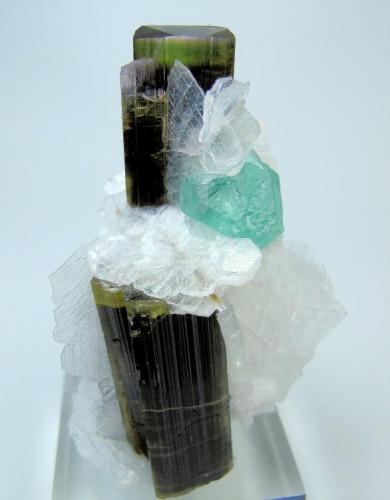 Fluorite, elbaite, albite
Stak Nala, Haramosh Mts., Skardu District, Baltistan, Gilgit-Baltistan, Pakistan
60 mm x 41 mm (Author: Carles Millan)