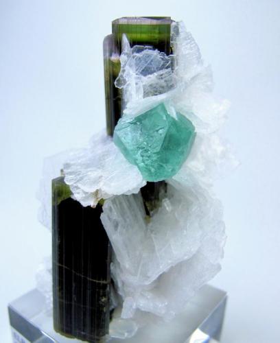 Fluorite, elbaite, albite
Stak Nala, Haramosh Mts., Skardu District, Baltistan, Gilgit-Baltistan, Pakistan
60 mm x 41 mm (Author: Carles Millan)