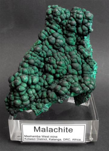 Malachite
Mashamba West mine, Kolwezi District, Katanga Copper Crescent, Katanga, Democratic Republic of Congo, Africa.
11 x 8 x 4 cm; 473 gram (Author: Louis Friend)