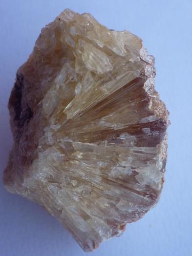 Calcita
Campos, Mitjorn, Mallorca, Illes Balears, España
5 x 3 cm (Autor: Rafael varela olveira)