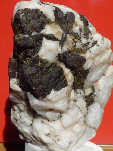 Ferberita-hübnerita en matriz de cuarzo
Minas de San Finx, Vilacoba, Lousame, A Coruña,Galicia, España
8 x 4 cm (Autor: Rafael varela olveira)